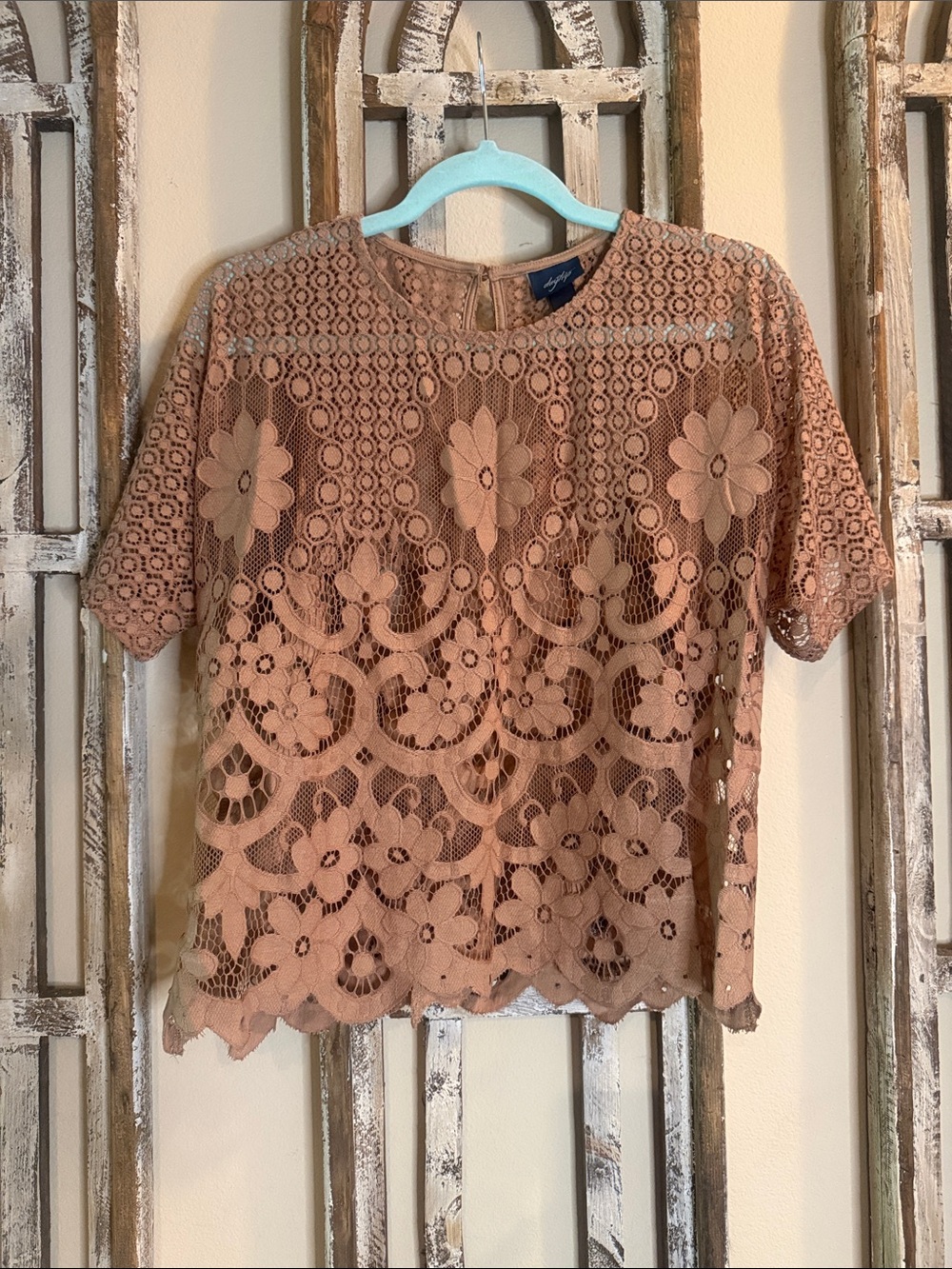 Daytrip Dusty Rose Floral Lace Short Sleeve Top